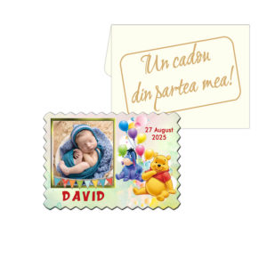 Marturii botez Winnie the Pooh – marturii botez magnet biscuit cu plic inclus