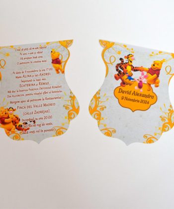 Invitatii Botez Winnie The Pooh