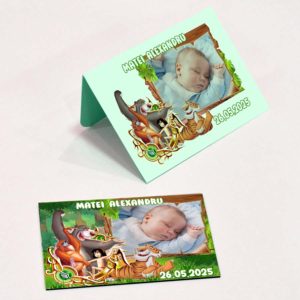 Marturii Botez Cartea Junglei, magneti cu plicuri incluse 8 Marturii Botez Cartea Junglei - Magneti Botez