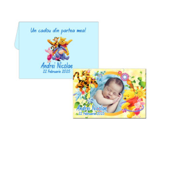 Marturii botez Winnie The Pooh magnetice personalizate