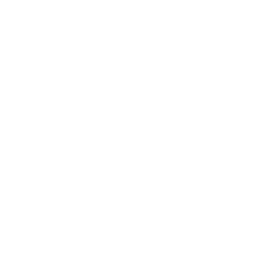 Logo Personalizari Caoduri Alb