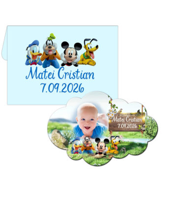 Marturii botez Mickey si prietenii