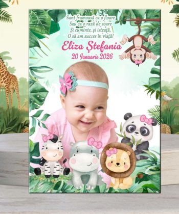 Invitatie botez Safari fetite, animalute