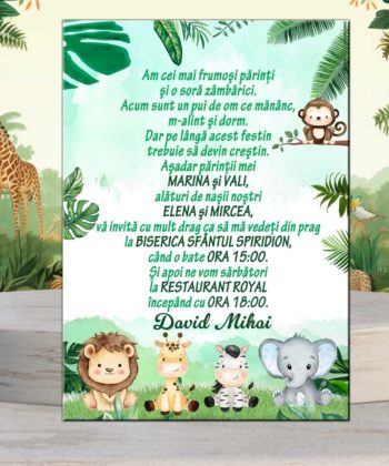 Invitatie botez Safari baieti, animalute
