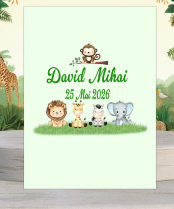 Invitatie botez Safari baieti, animalute