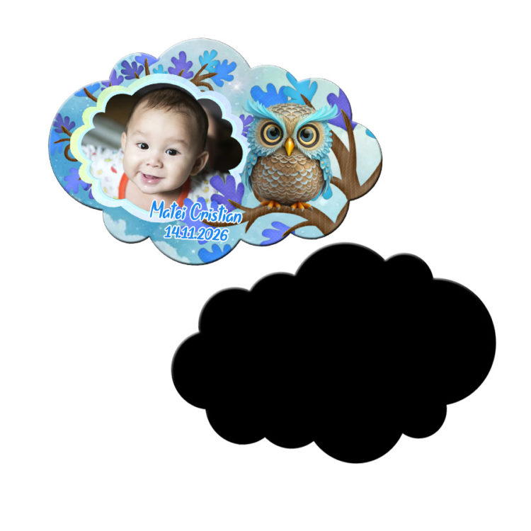Marturii botez Bufnita bleu