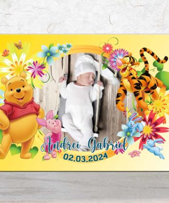 Invitatie botez Winnie the Pooh
