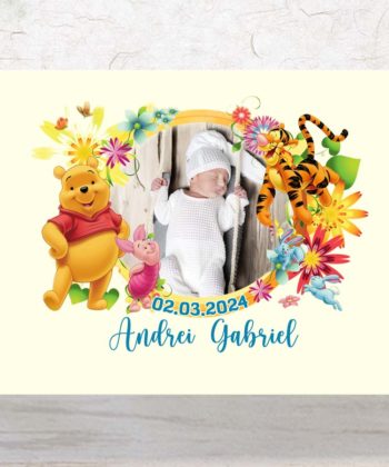 Invitatie botez Winnie the Pooh