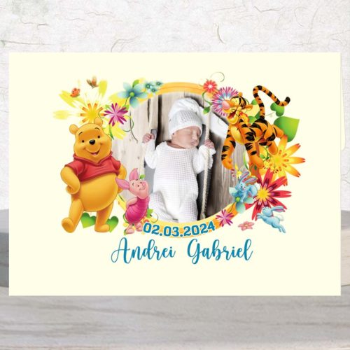 Invitatie botez Winnie the Pooh