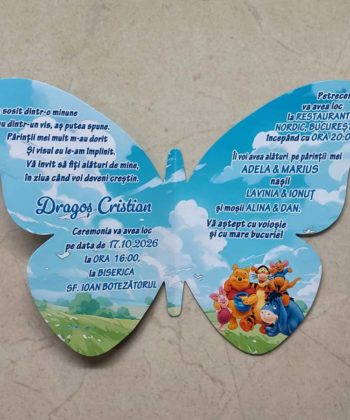 Invitatii botez fluture Winnie the Pooh