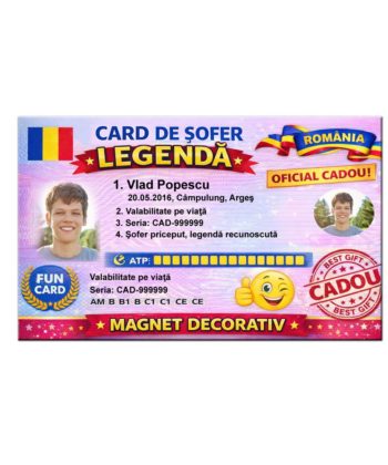 Card de sofer legenda magnet personalizat 10x6 cm cadou amuzant